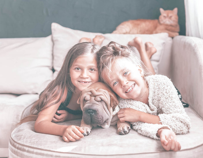 Benefits of Having a Pet in the Family